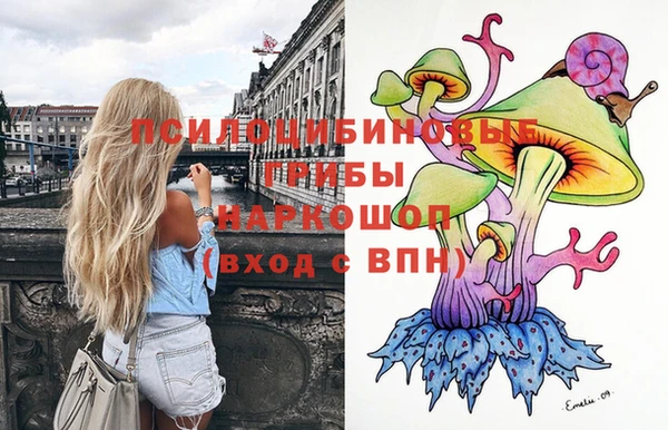 гашишное масло Богородицк