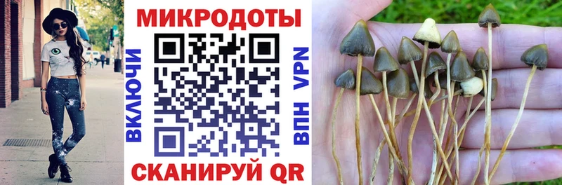 Псилоцибиновые грибы Magic Shrooms что такое наркотик Добрянка